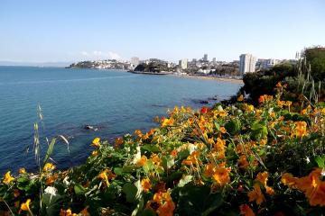 capucine et baie d'Annaba 4ème séance ordinaire